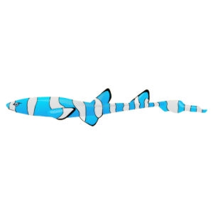 Aqua Clownfish Cat Shark